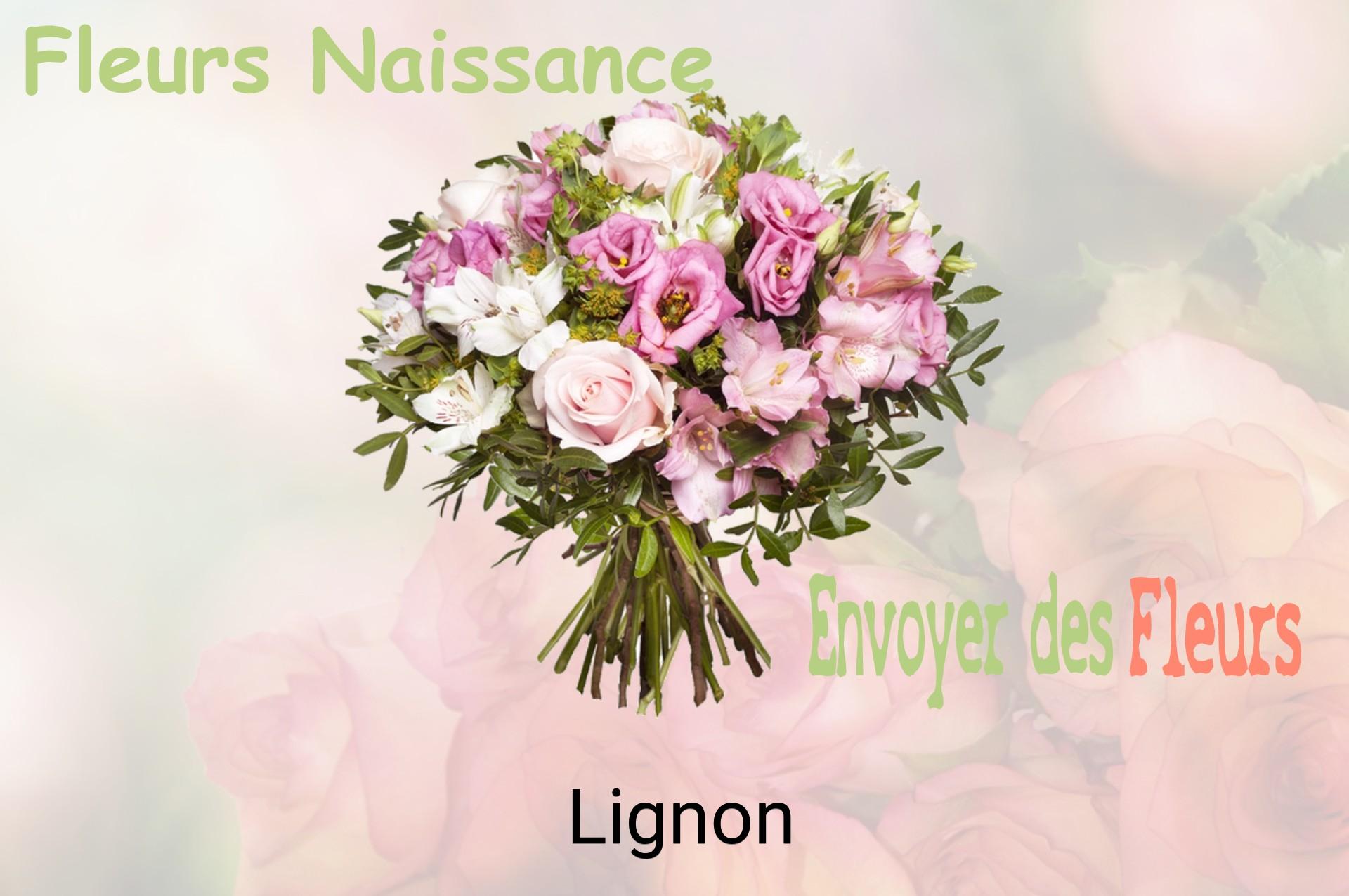 Bouquet de fleurs de naissance livré à Lignon