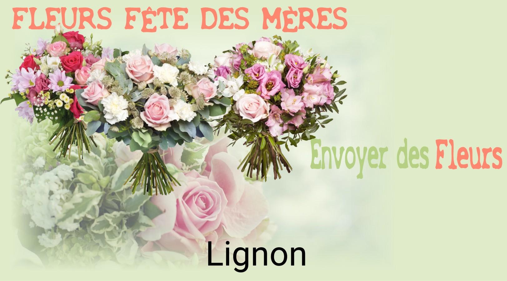 Bouquet de Fête des Mères livré à Lignon